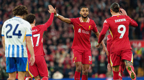 他们的崛起 他们的崛起