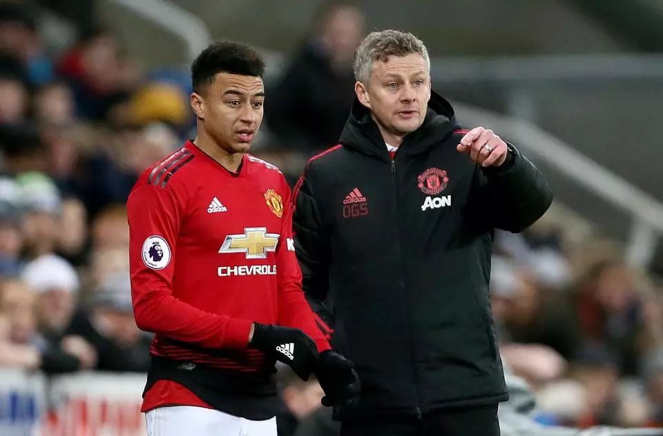 经引发了全 经引发了全